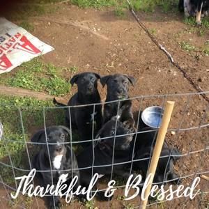 Meet your Posher, Sonja